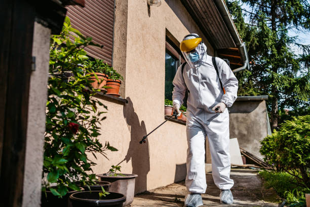Pest Prevention Services in Masury, OH