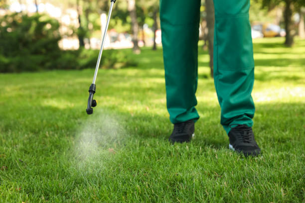 Best Pest Inspection Near Me  in Masury, OH