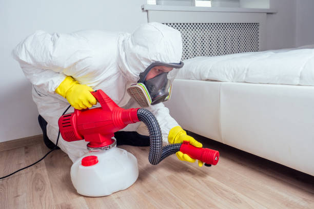 Best Exterminator Services  in Masury, OH