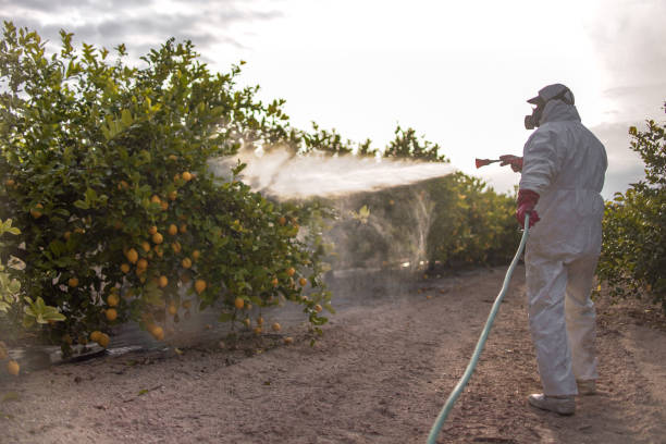 Best Best Pest Control Companies  in Masury, OH