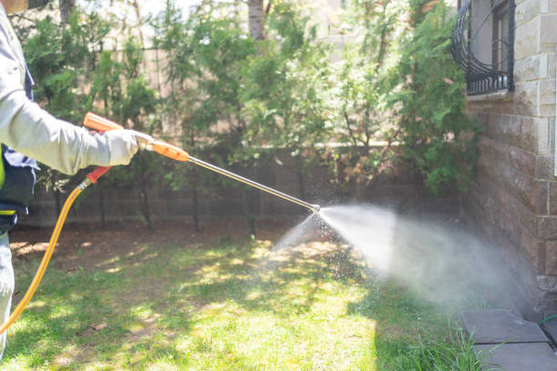 Best Pest Prevention Services  in Masury, OH