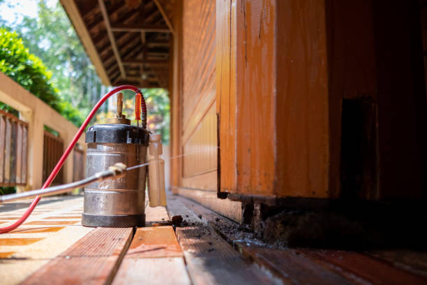 Best Pest Removal Services  in Masury, OH