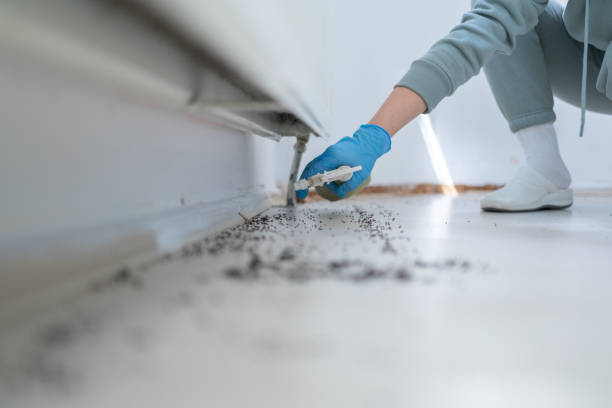 Best Cockroach Control Services  in Masury, OH